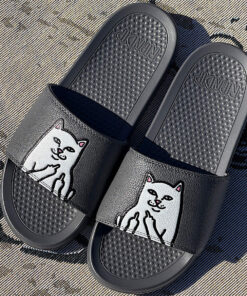 Alternative view of Lord Nermal Slides  (Charcoal)