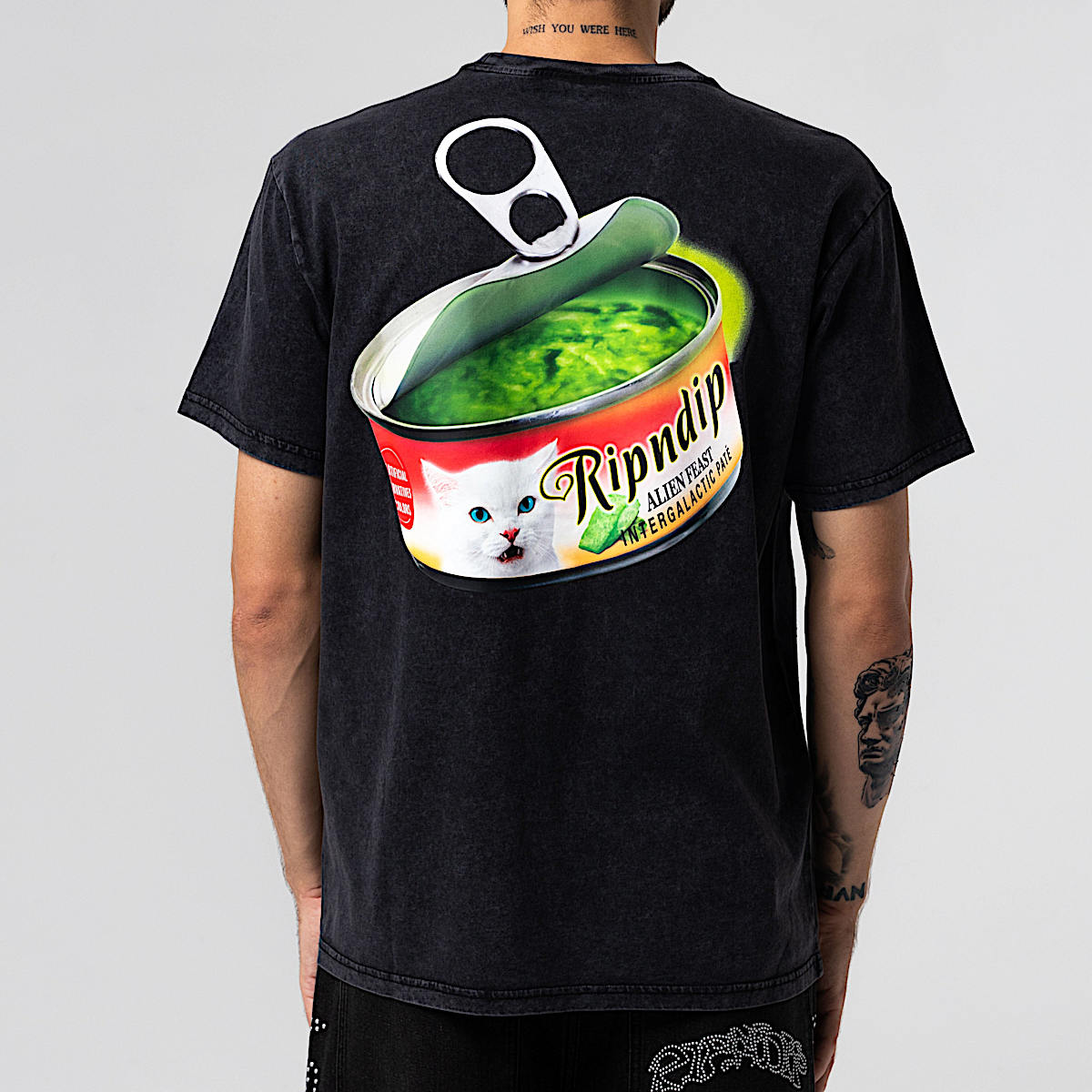 Gourmet Cat Food Tee (Black Vintage Wash) - Image 3