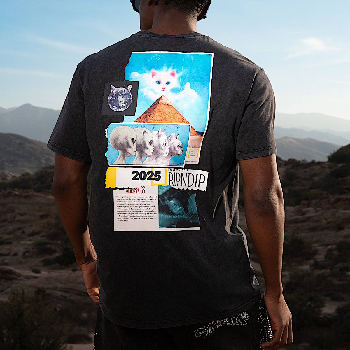 Nerm Geo Tee (Black Vintage Wash) - Image 7